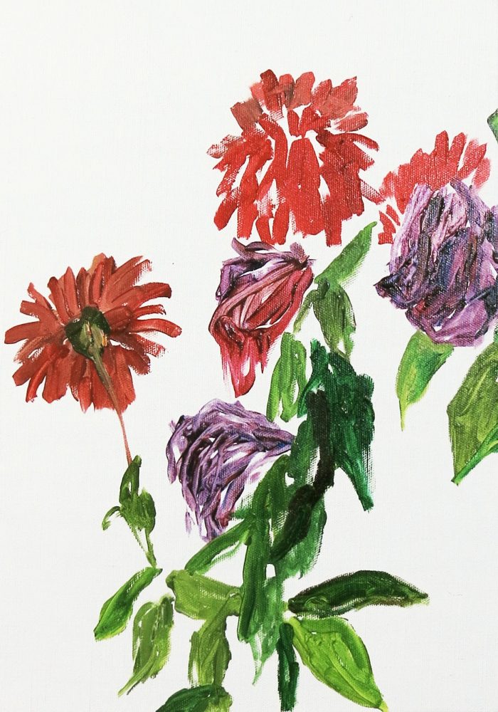 47E87CD8-5E4B-42F8-A3CC-60FDD41A32DD_1_201_a