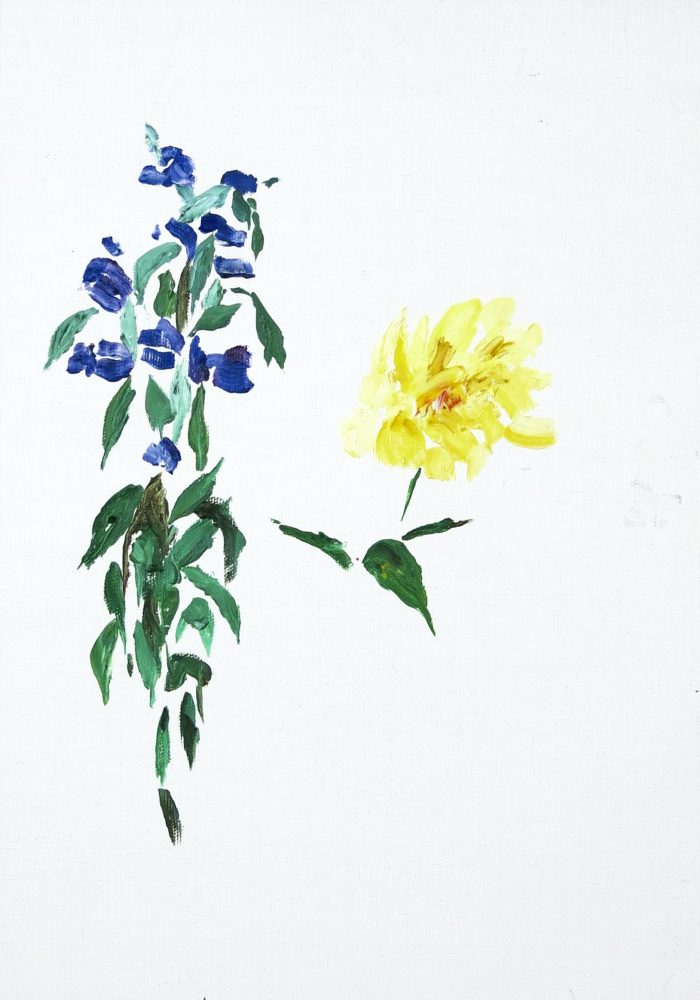 7AE5C3FB-8ECD-40BB-BC44-71E5CEFEEB69_1_201_a