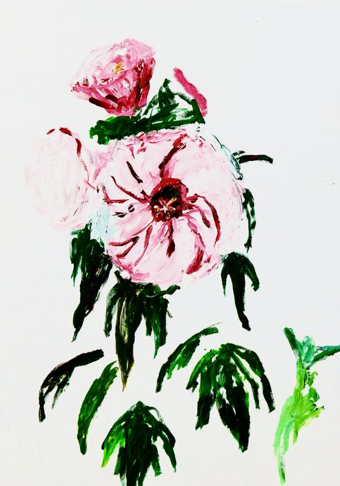 9FCD8B07-4A9E-40E0-9CED-EA13719116EF_1_201_a