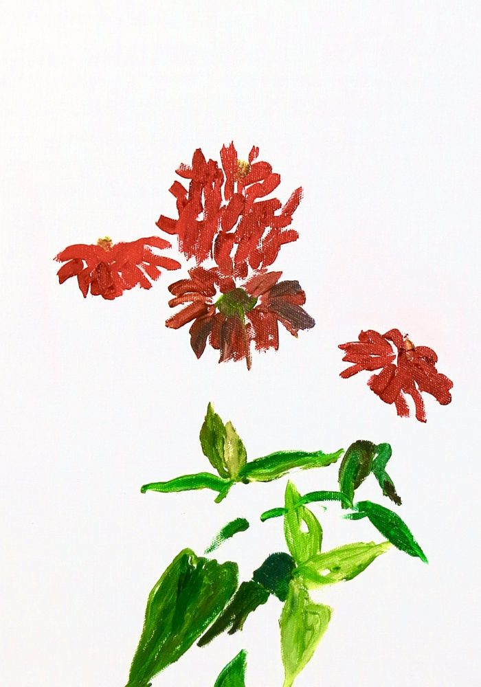 B0282116-2A03-47DA-A2D9-4658AC64D34D_1_201_a