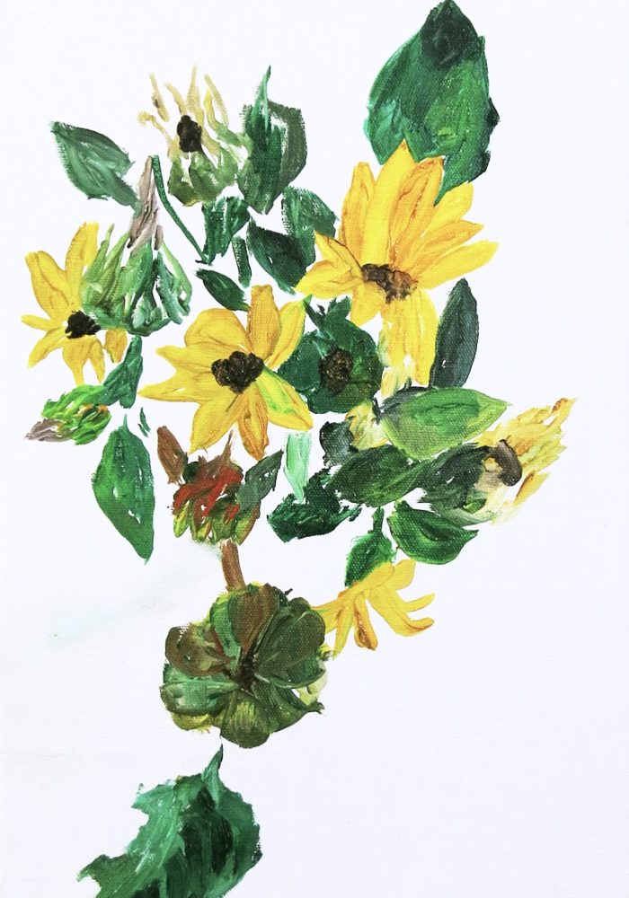 B2815E11-EA5D-4A96-A689-B877EF8AFA57_1_201_a