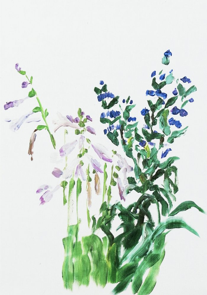 C0877D75-4A60-41D5-8C0D-D6CF325CA16E_1_201_a