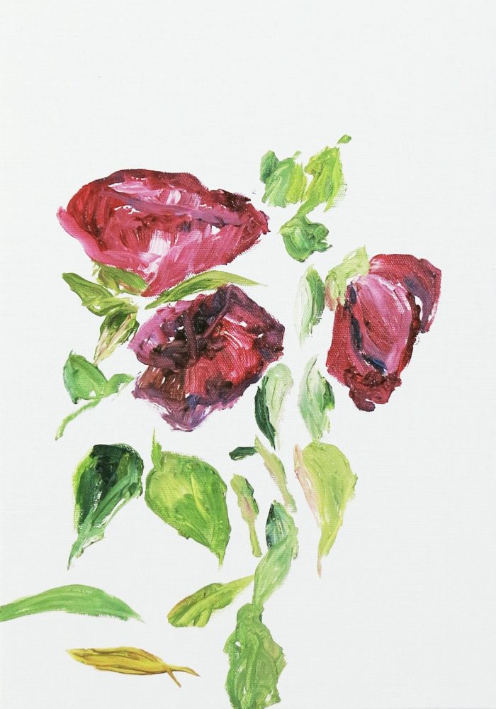 F1D7DE45-BA4E-4191-8544-22F039D4AF60_1_201_a